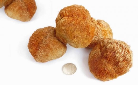 No pollution green food 500g