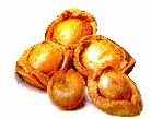 Abalone