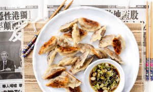 Duck gyoza